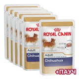 ROYAL CANIN влажный корм для собак породы Чихуахуа (паштет) 5+1 x 85 г