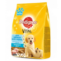 PEDIGREE сухой корм для щенков всех пород с курицей 0,6 кг